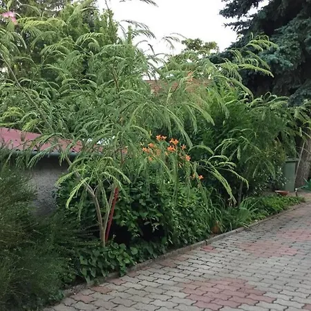 Apartment Jandi